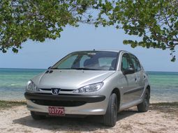 Front view of a silver Peugeot 206