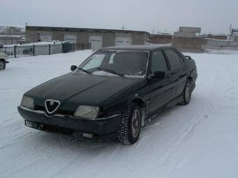 1991 Alfa Romeo Alfa Romeo Photos