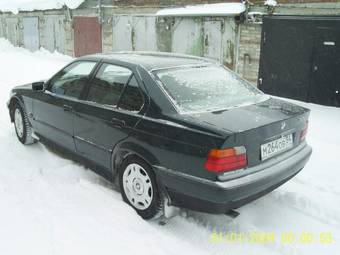 1992 BMW 3-Series Pics