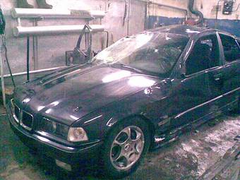 1995 BMW 3-Series Pics