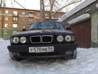 1995 BMW 5-Series Pictures