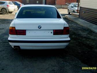 1995 BMW 5-Series Photos