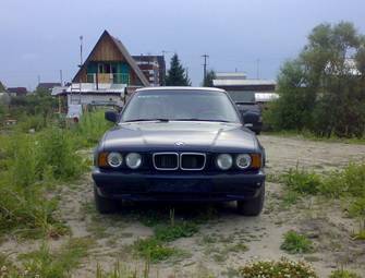 1995 BMW 5-Series Photos
