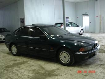 1999 BMW 5-Series Pictures