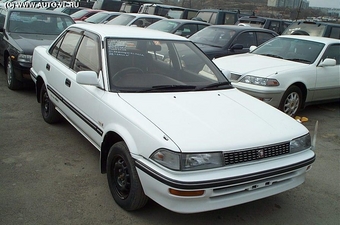 1982 Toyota Corolla