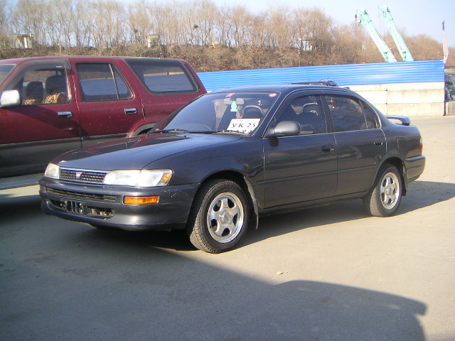 Toyota corola 1991 manual