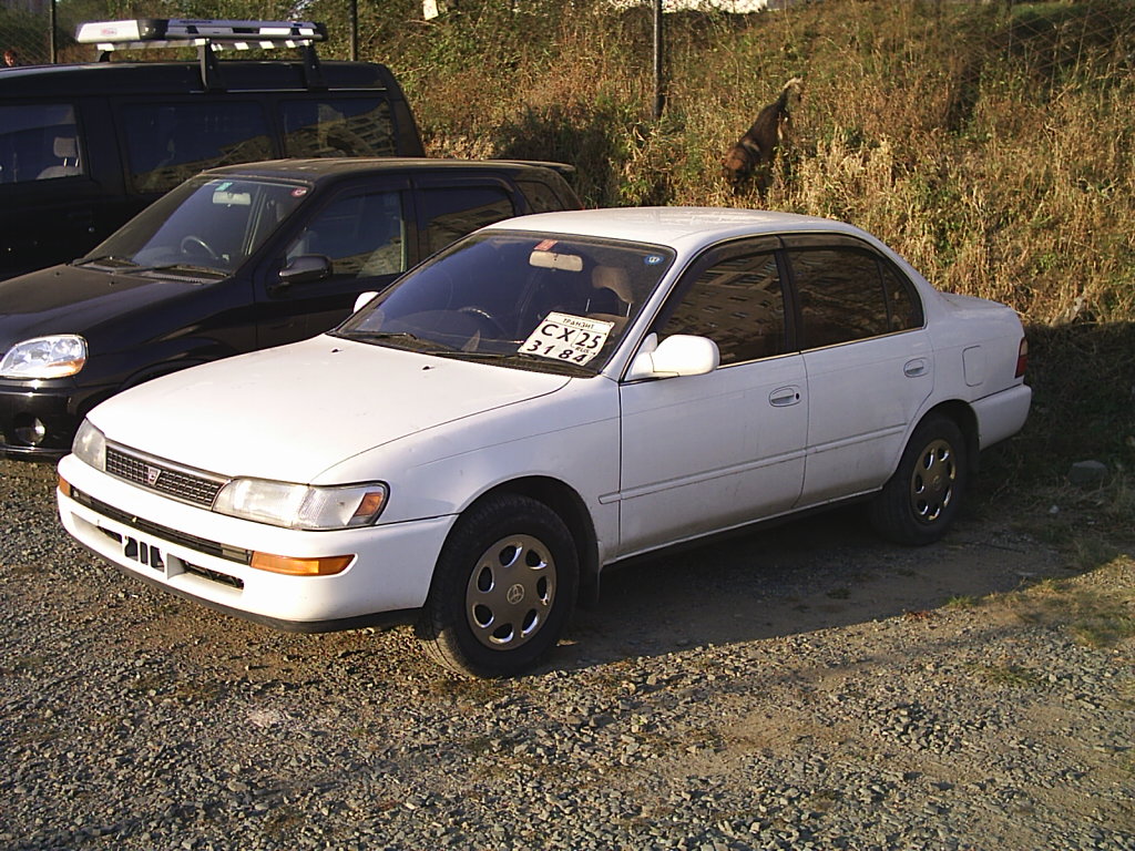 pictures of a 1992 toyota corolla #3