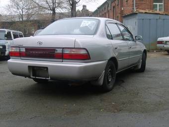 1994 Corolla