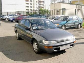 1994 Toyota Corolla Pictures