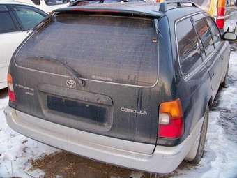 1994 Toyota Corolla Photos