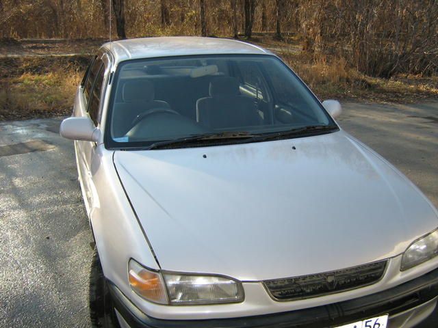 1996 Toyota Corolla