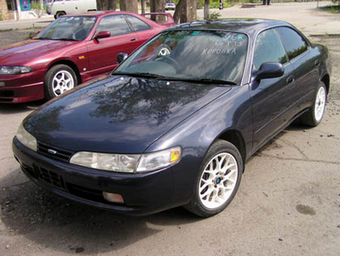 1996 Toyota Corolla Ceres