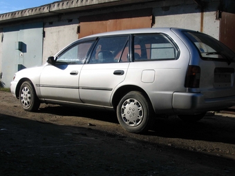 1992 toyota corolla wagon parts #6
