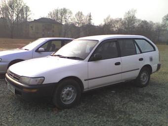 1992 toyota corolla wagon for sale #2