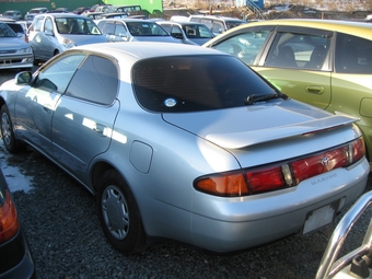 Toyota marino
