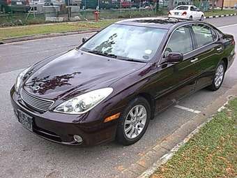 2004 Toyota Windom