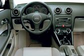 Audi A3 (8P) 2.0 TDI (140 Hp) quattro 2004 - 2005