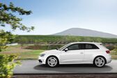 Audi A3 (8V) 2.0 TDI (184 Hp) clean diesel 2014 - 2016