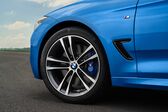 BMW 3 Series Gran Turismo (F34 LCI, Facelift 2016) 335d (313 Hp) xDrive Steptronic 2016 - present