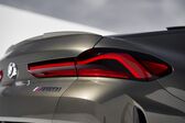 BMW X6 (G06) 40i (333 Hp) MHEV xDrive Steptronic 2020 - present