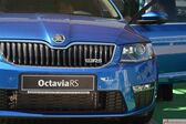 Skoda Octavia III RS 2.0 TSI (230 Hp) DSG 2015 - 2017