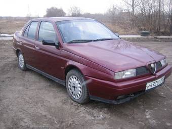 1992 Alfa Romeo 155 Pictures