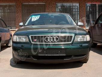 1998 Audi S8 Pictures