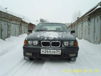 1992 BMW 3-Series Images