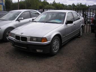 1993 BMW 3-Series Pics
