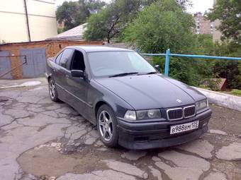 1994 BMW 3-Series Photos