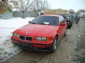 1996 BMW 3-Series Photos