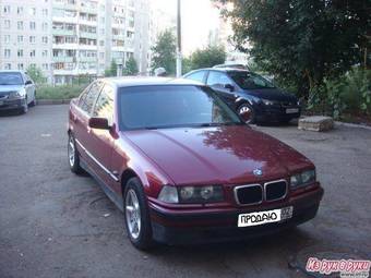 1997 BMW 3-Series Pictures
