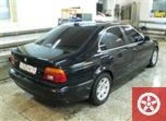 2001 BMW 5-Series Pictures