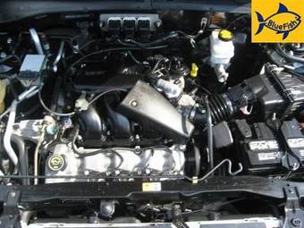 2005 Ford Maverick Photos