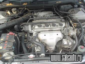 2001 Honda Accord Pictures