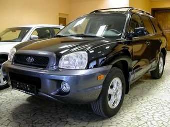 2003 Hyundai Santa Fe Pictures