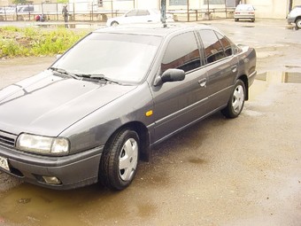 1991 Nissan Primera Pictures