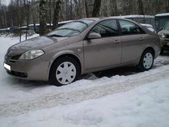 2006 Nissan Primera Pictures