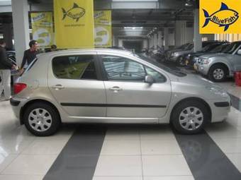 2006 Peugeot 307 Pics