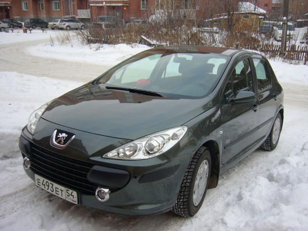 2007 Peugeot 307