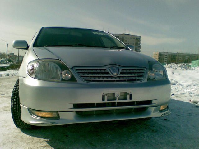 2001 Toyota Allex