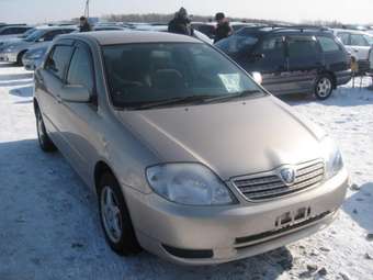 2001 Toyota Allex