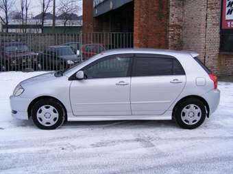 2001 Toyota Allex Pictures