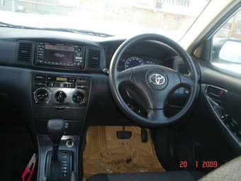 2002 Toyota Allex Pictures