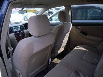 2002 Toyota Allex Pictures