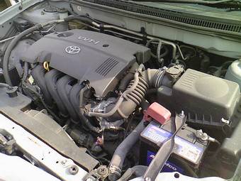 2005 Toyota Allex Pictures