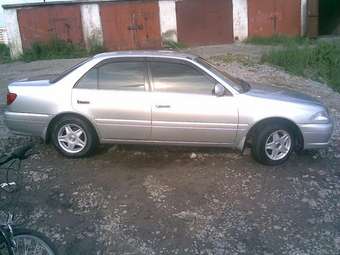 2001 Toyota Carina Pictures