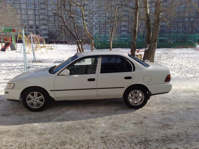 1992 Toyota Corolla