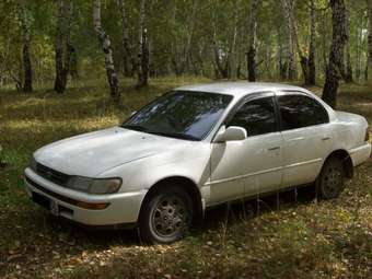 1992 Toyota Corolla Photos