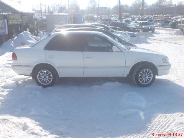 1996 Toyota Corolla